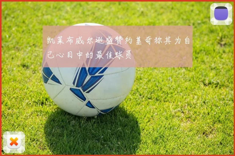 凯莱布威尔逊盛赞约基奇称其为自己心目中的最佳球员